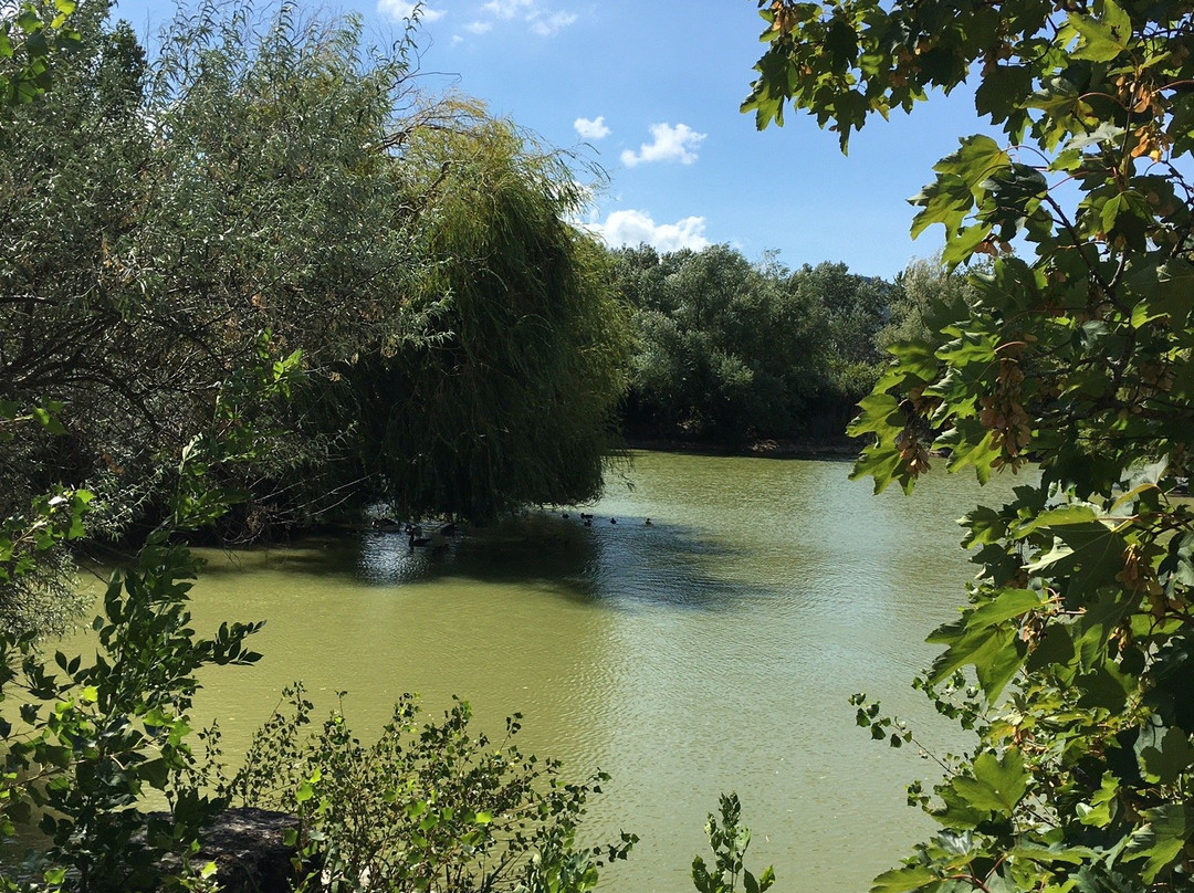 Domaine de la Treille景点图片