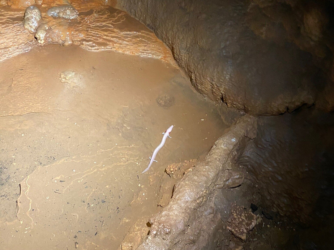 Baredin Cave-Nova Vas必去景点