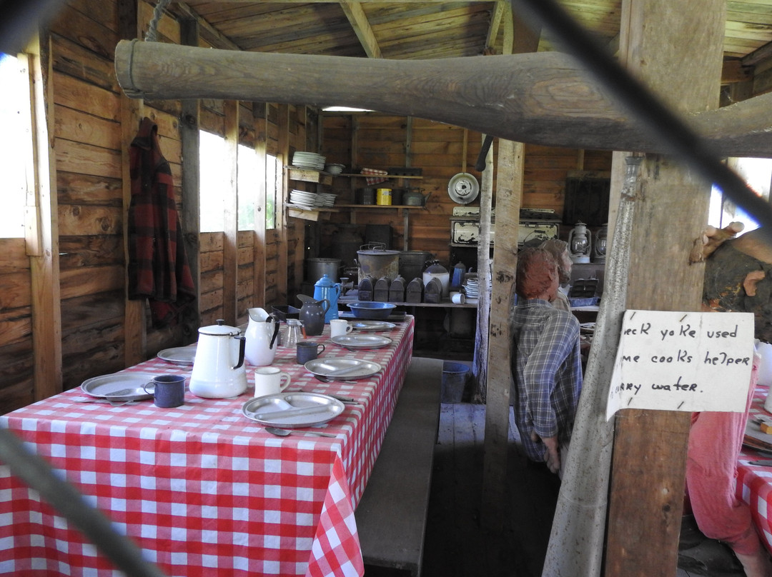 Tom's Historic Logging Camp-德卢斯必去景点