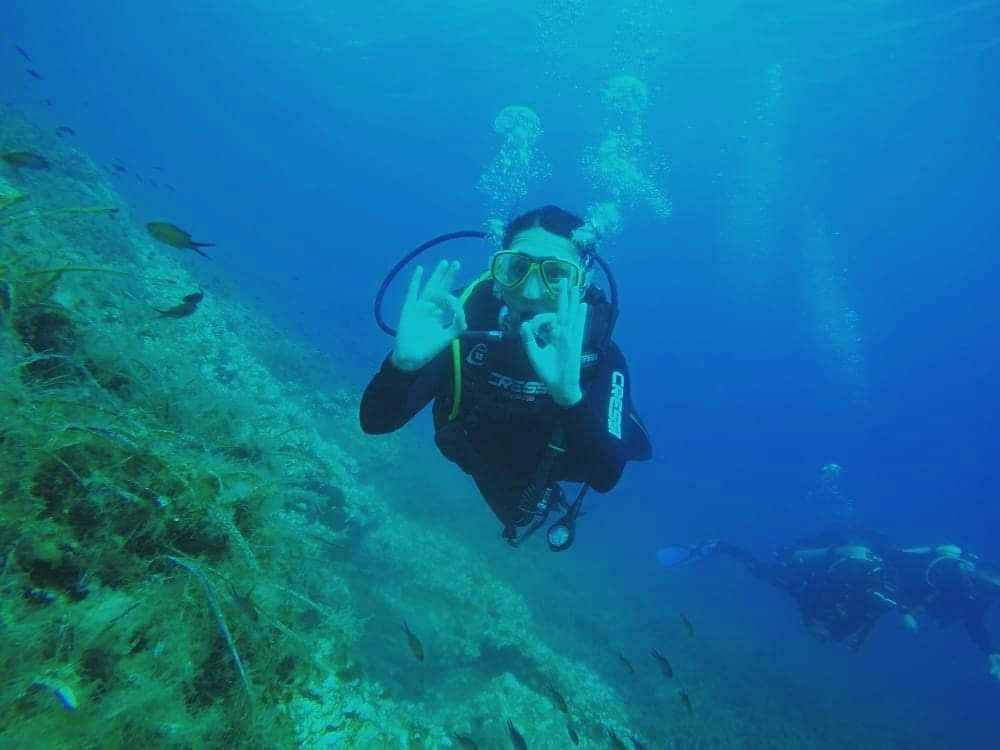 Gorgonia Diving景点图片