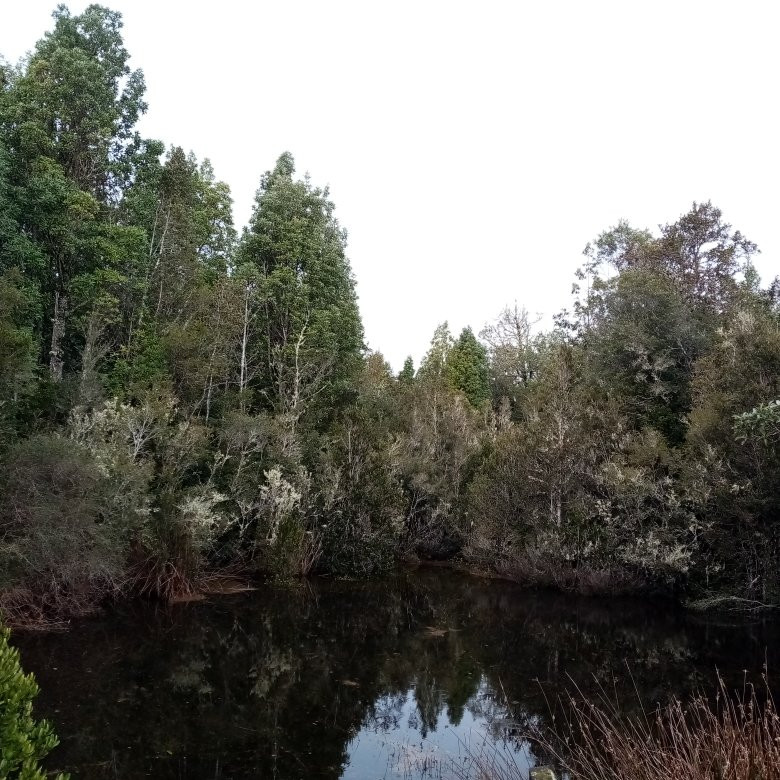 Isla de Quinchao-奇洛埃岛必去景点