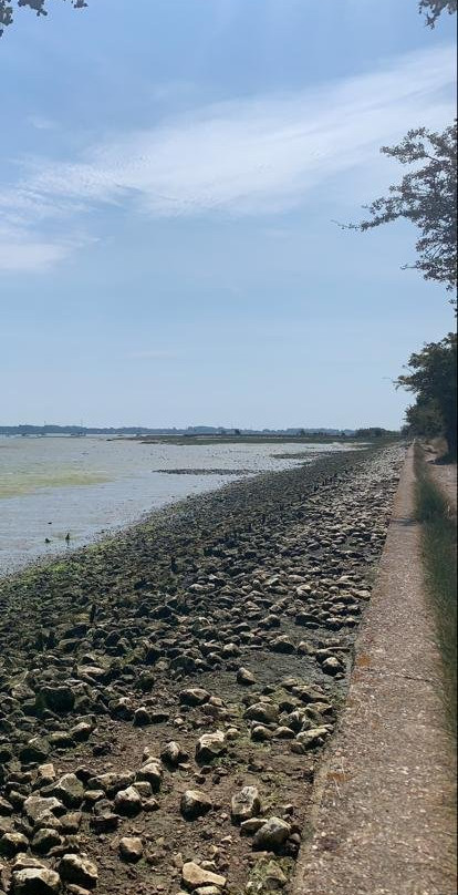 Thorney Island景点图片