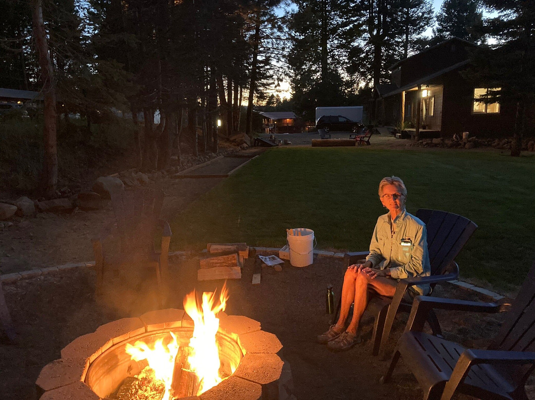 The Scandia Inn主图