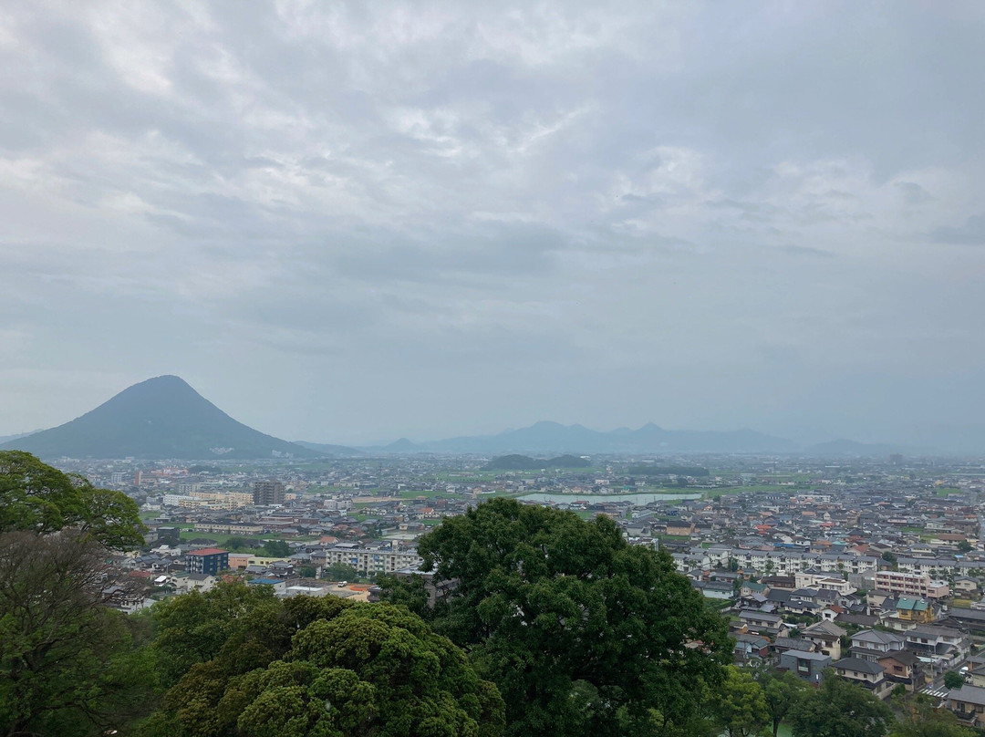 Marugame Castle景点图片