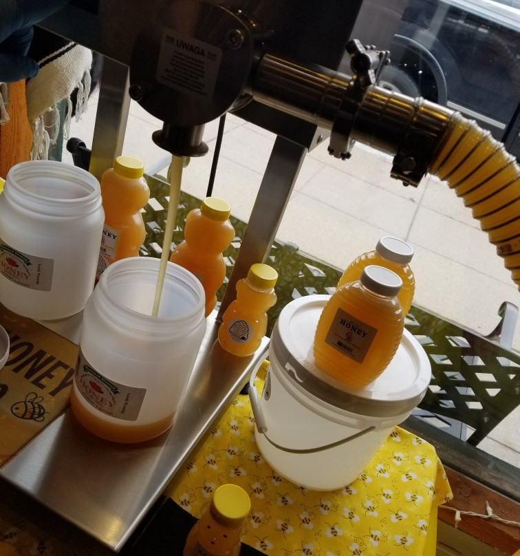 Wyoming Buffalo Company-科迪必去景点