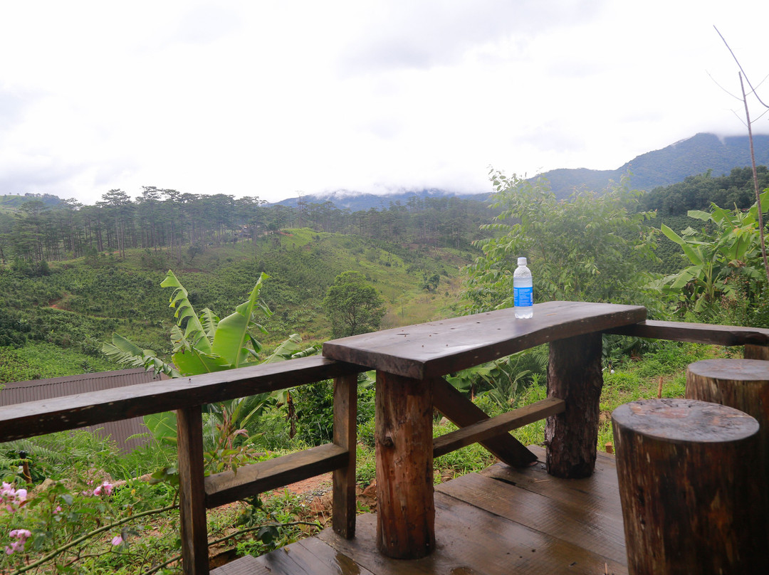 Chappi Mountains Homestay Bungalows & Coffee Resting Station主图