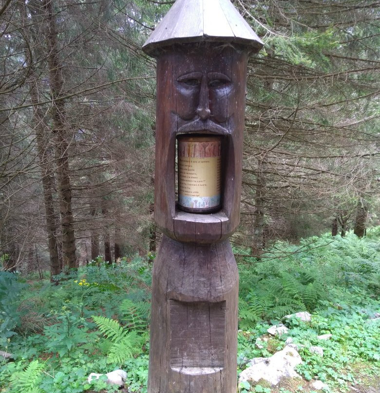 Partenza per il Sentiero del Bosco Incantato景点图片