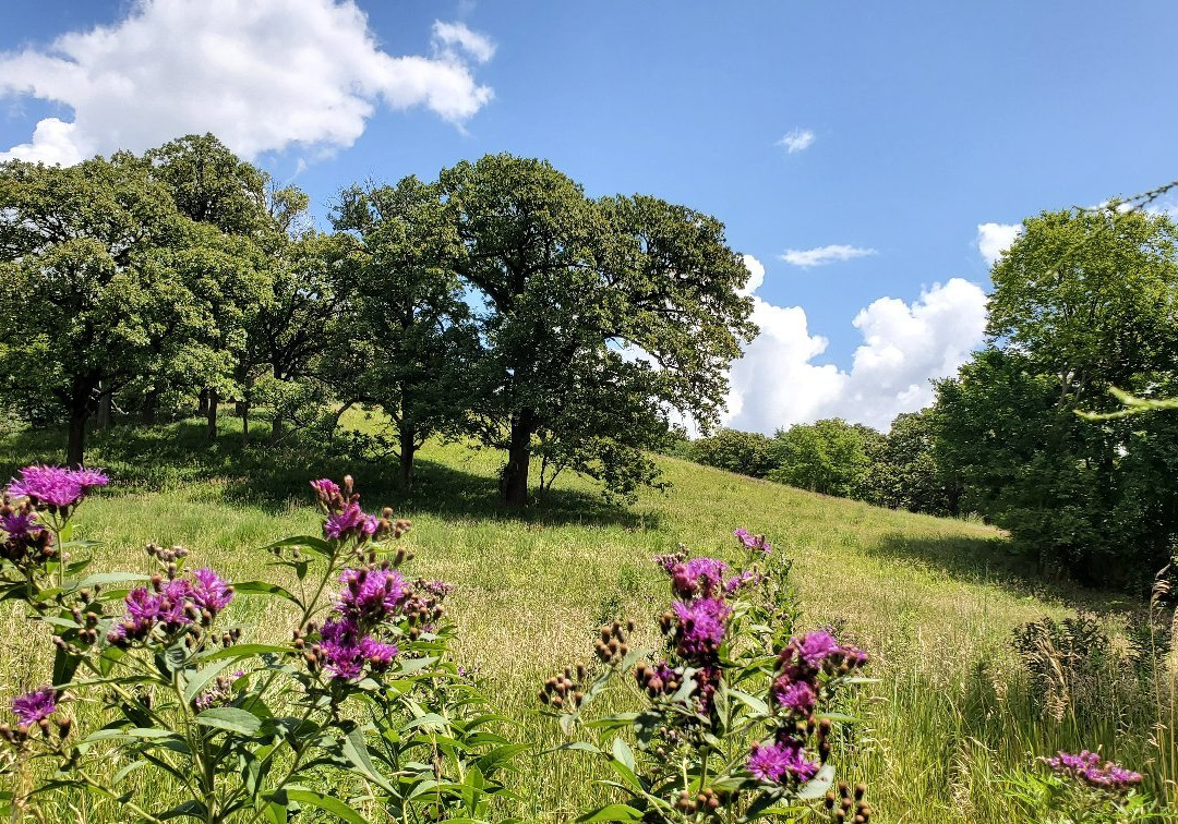 Hitchcock Nature Center-Honey Creek必去景点