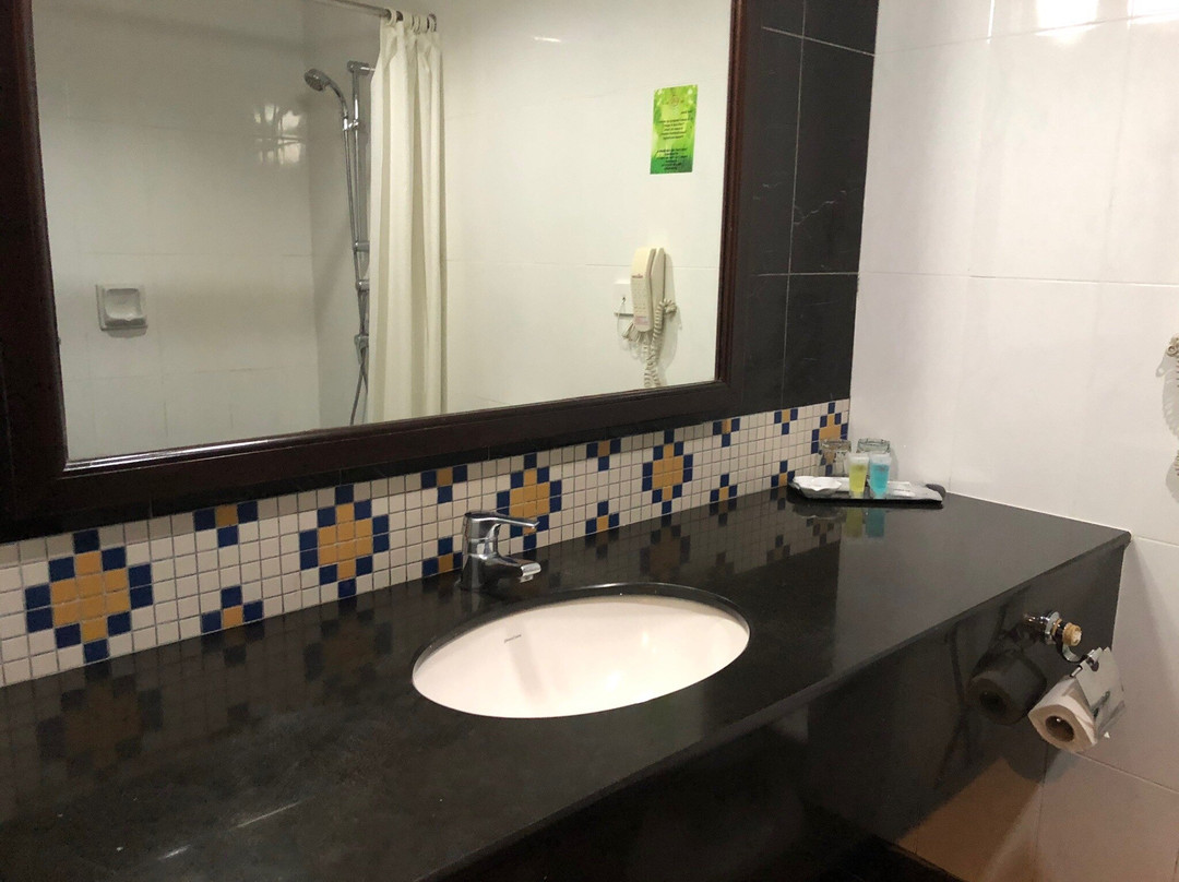 金宝大酒店主图