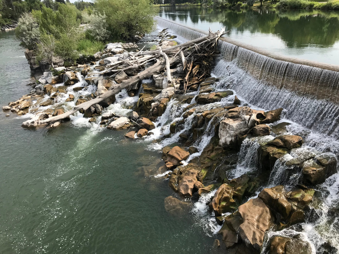 Idaho Falls Temple & Visitors' Center景点图片