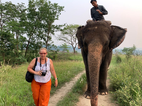 123Travel-Buderim必去景点