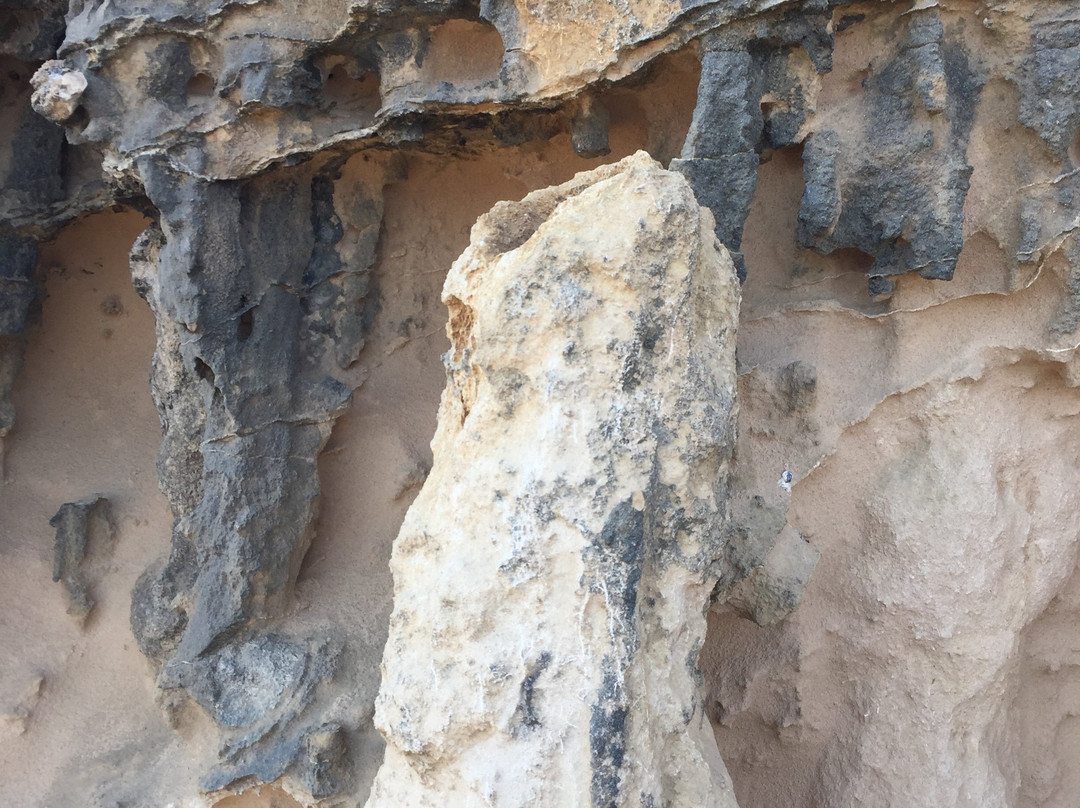 Petrified Forest and Blowholes-Cape Bridgewater必去景点
