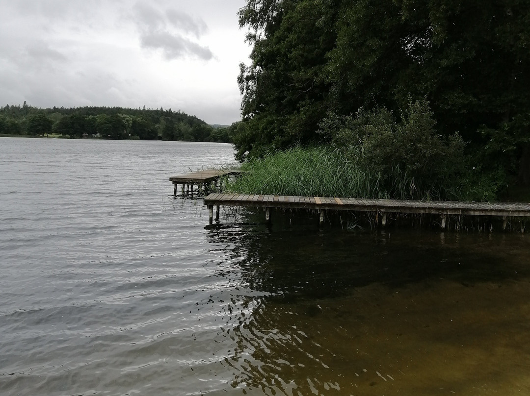 Skanderborg Soe Camping