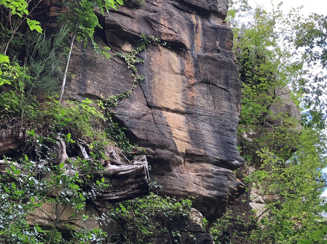 Allen Banks and Staward Gorge景点图片