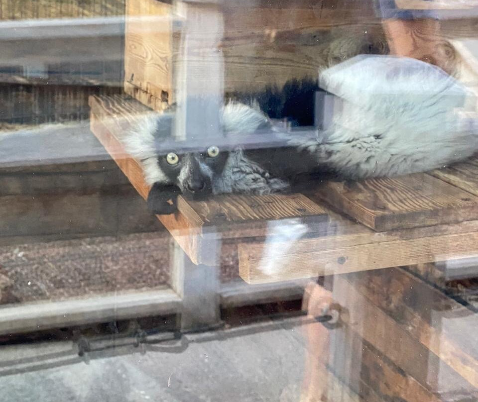 Swimming Pool of the Hotel Yalta Intourist-雅尔达必去景点