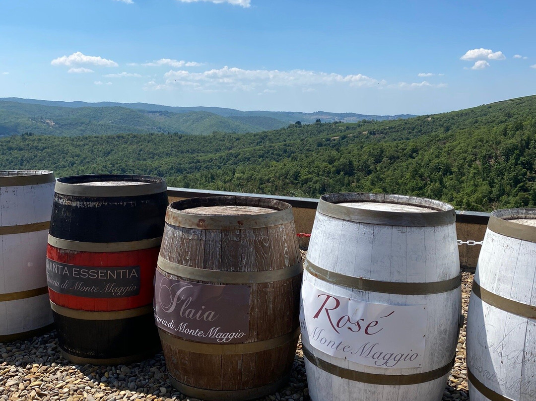 Fattoria di Montemaggio-拉达因基安蒂必去景点