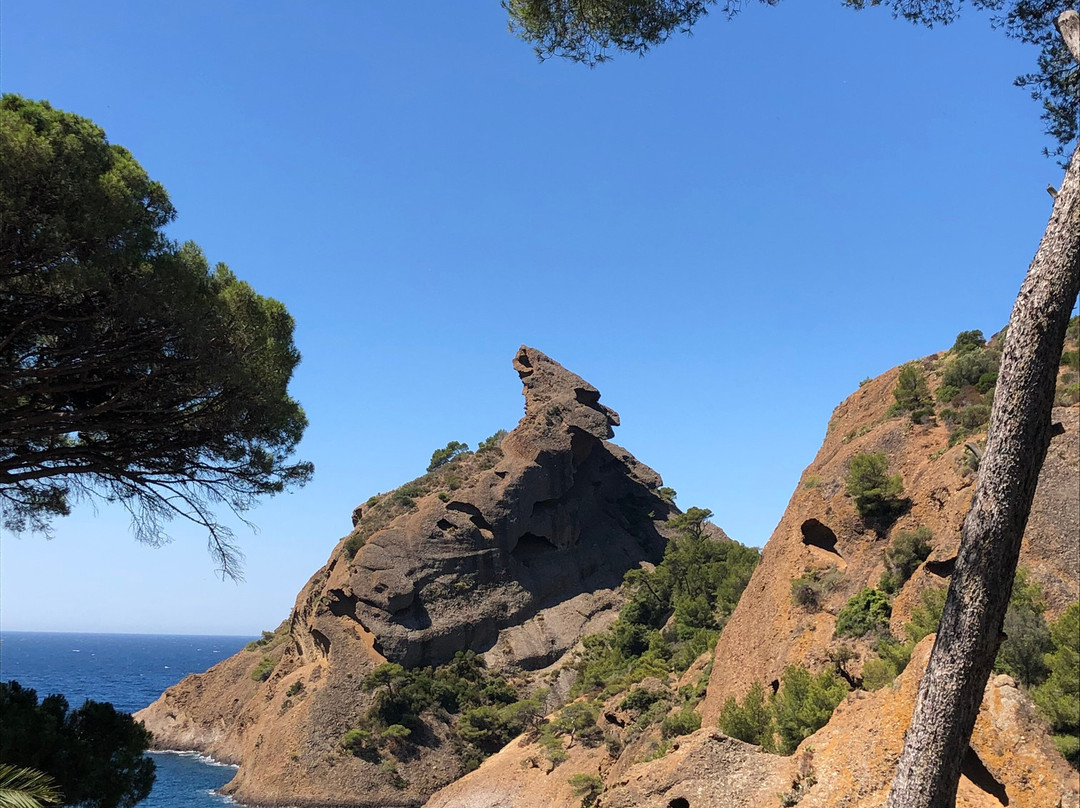 La Calanque de Figuerolles-拉西奥塔必去景点