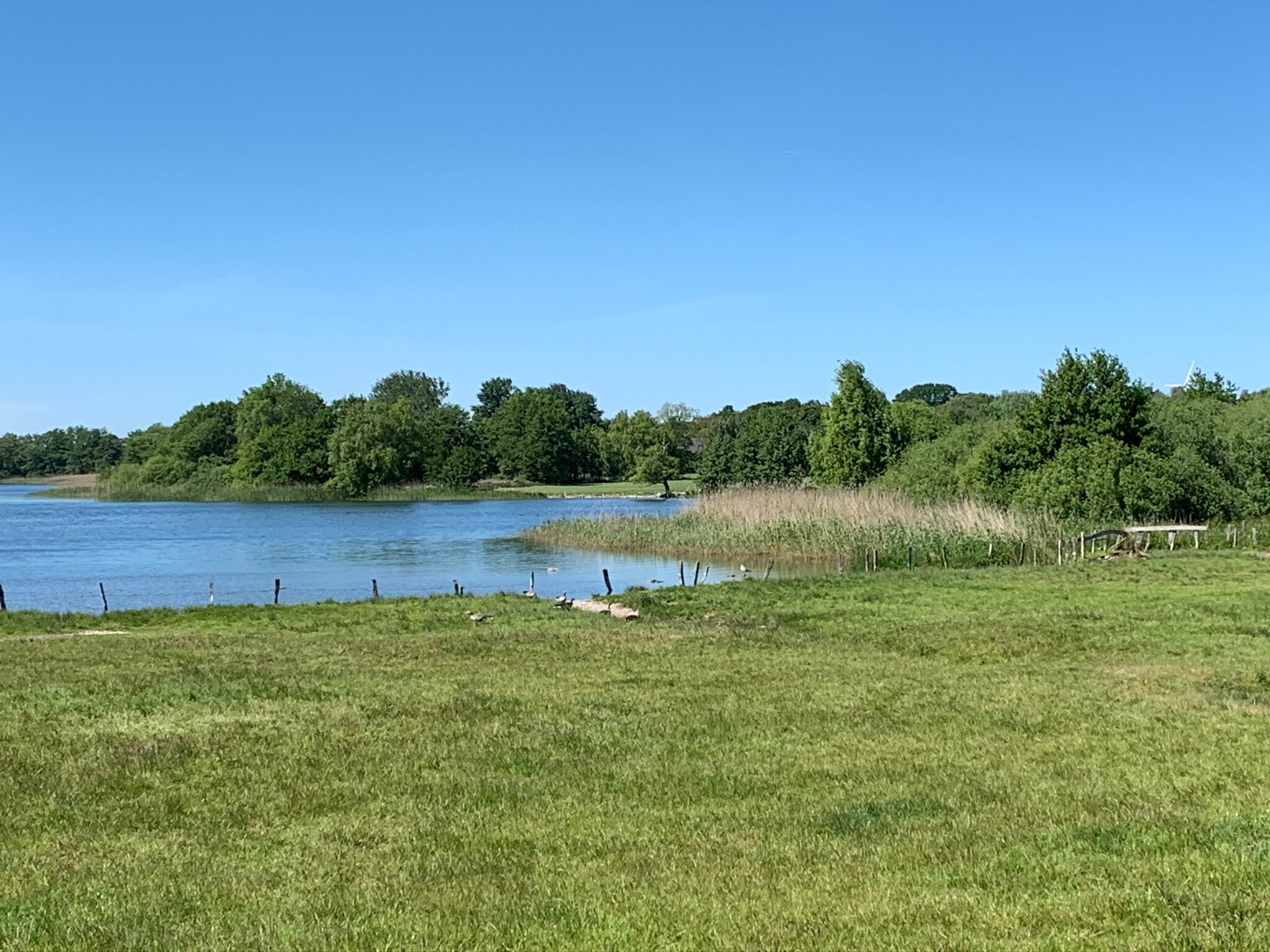 Fischerwiege am Passader See-官方