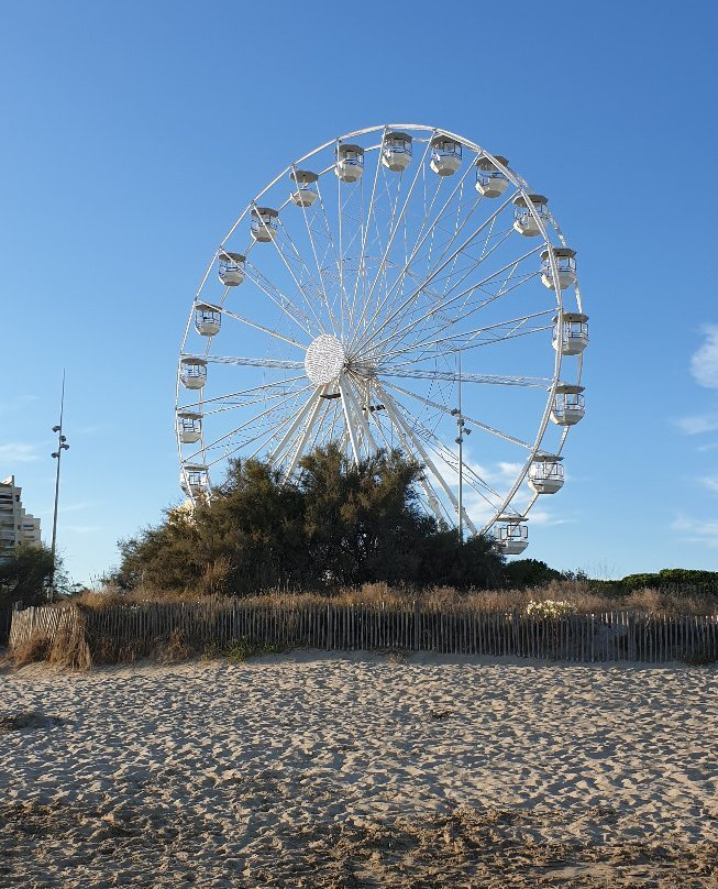 Plage du Centre Ville - Point Zéro景点图片