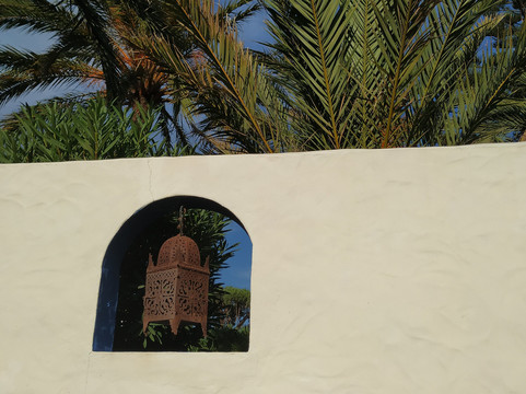 Paraiso Perdido主图