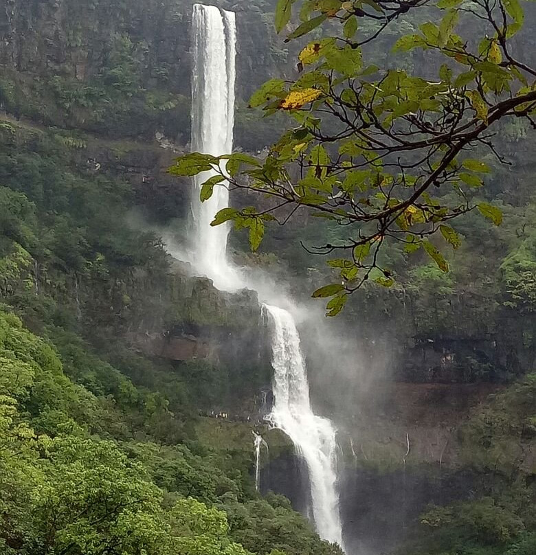 Bhambavli Vajrai Waterfall景点图片