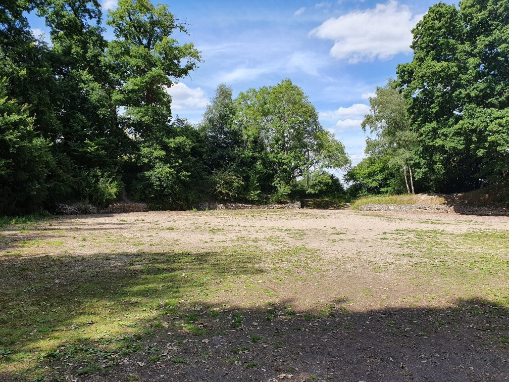 Silchester Roman City Walls and Amphitheatre景点图片