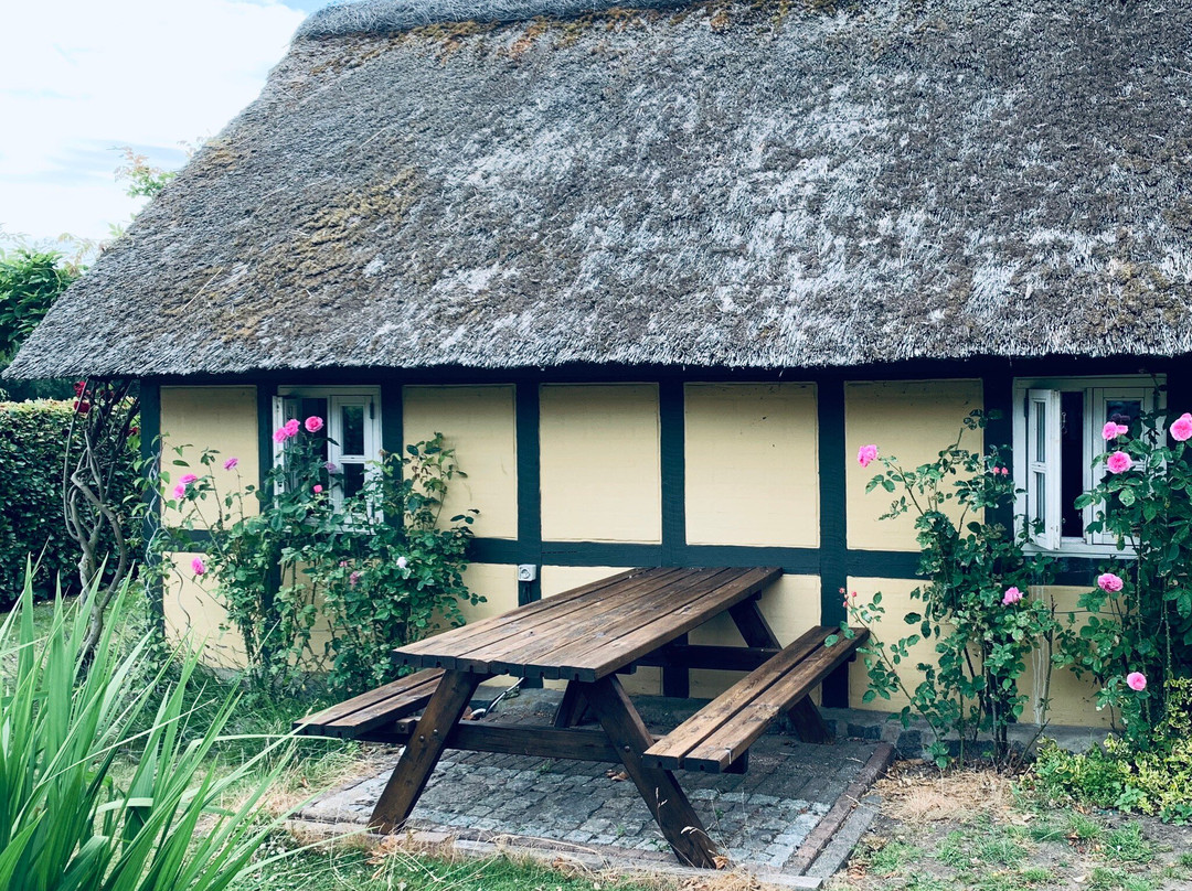 Country B&B Horsens主图