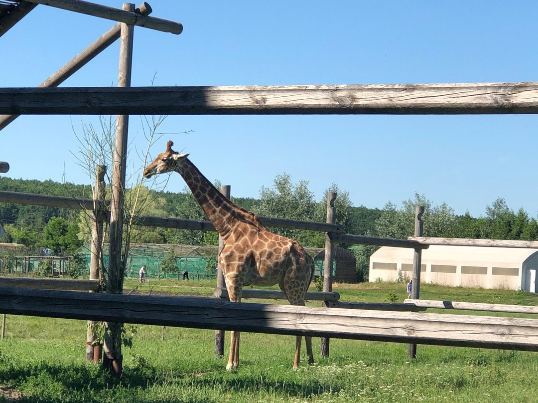 Starooskolsky Zoo景点图片