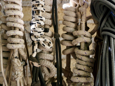 Veio Quarter Horses-罗马必去景点