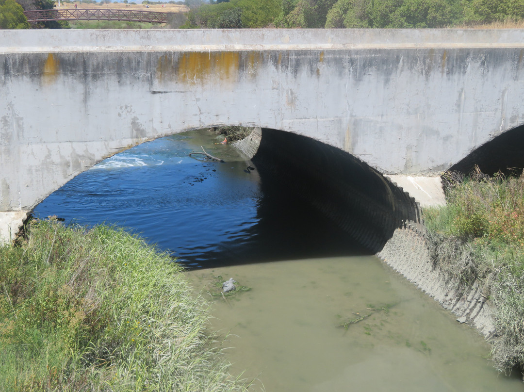 Sunnyvale Bay Trail-森尼韦尔必去景点