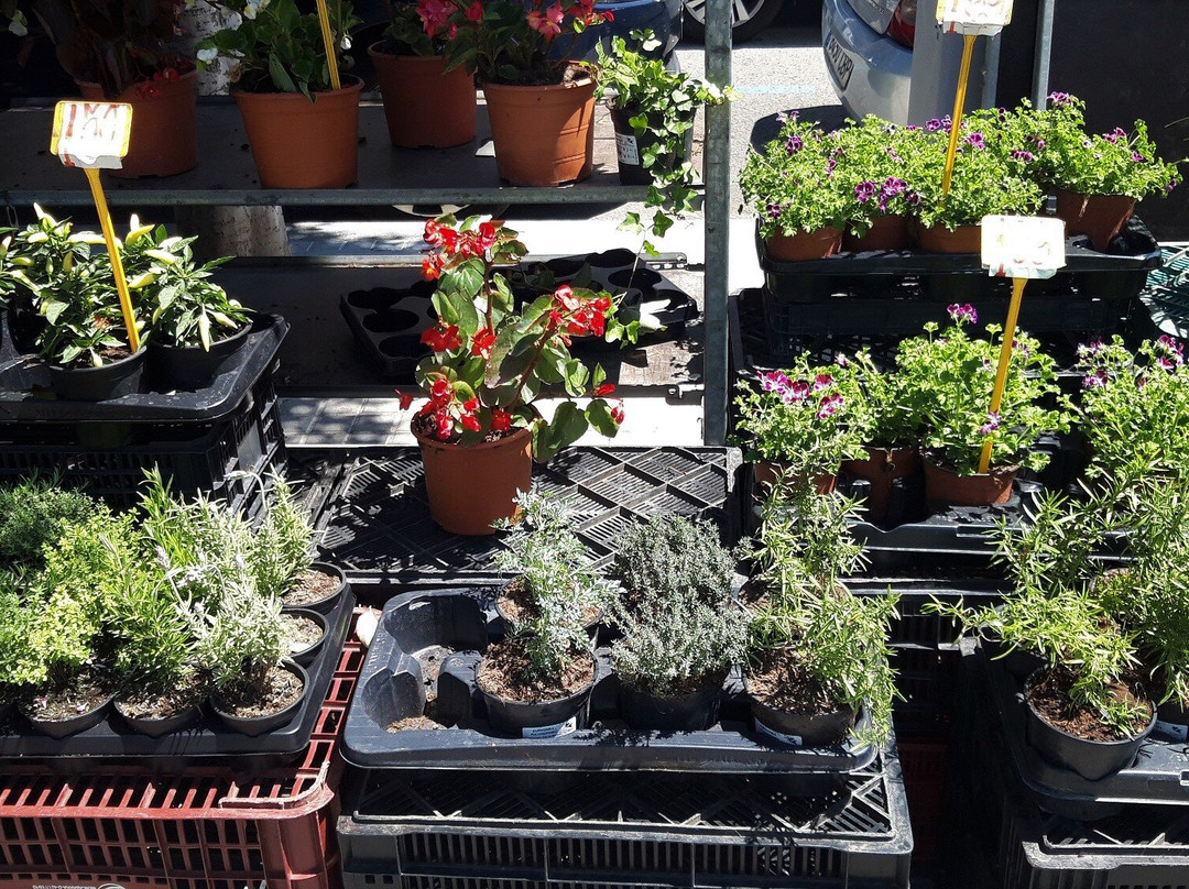 Mercadillo de los Pajaritos