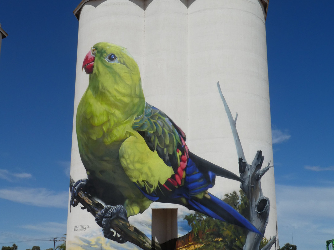 Waikerie Silo Art景点图片