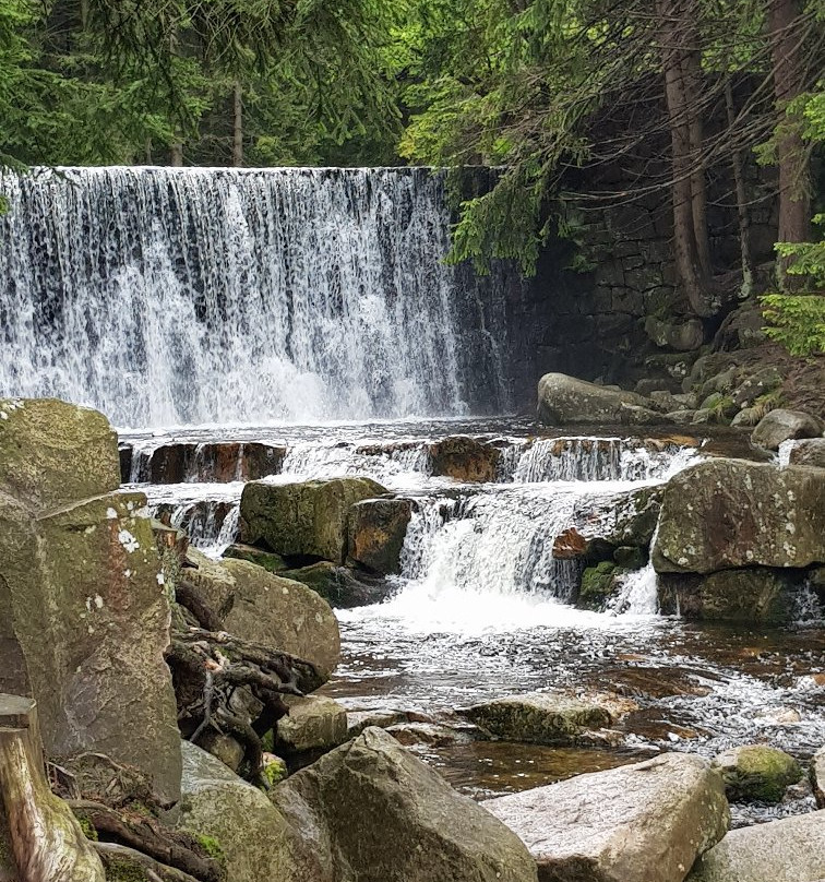 Wild Waterfall景点图片