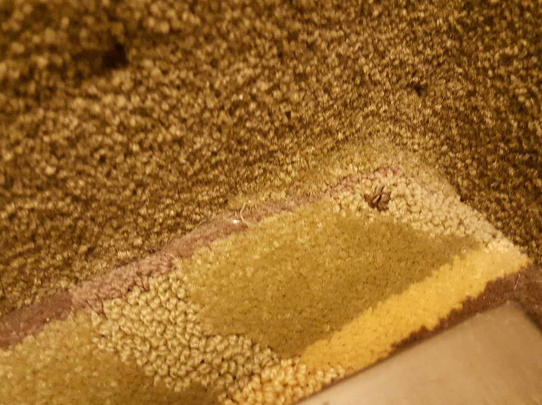 Best Western Plus Anderson主图