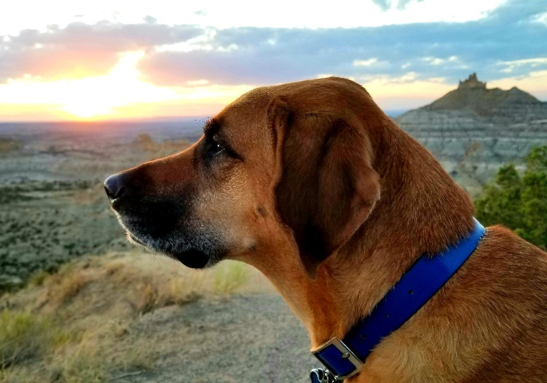Angel Peak Recreation Area-Bloomfield必去景点