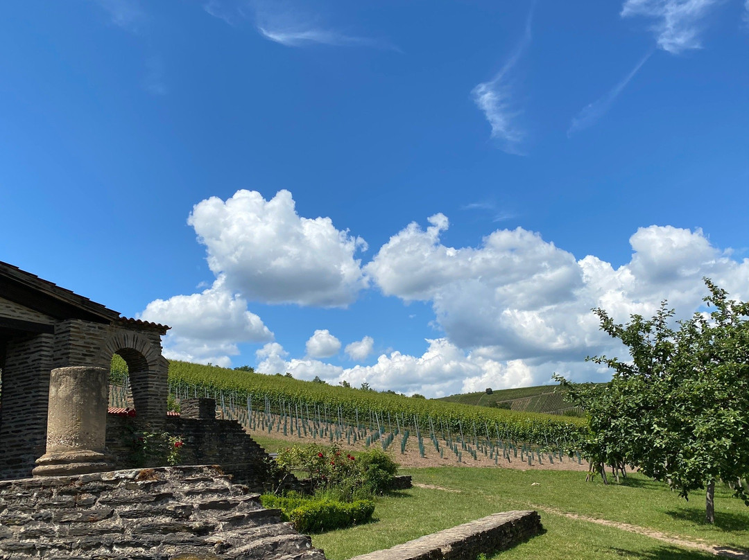 Romische Villa Urbana-Longuich必去景点