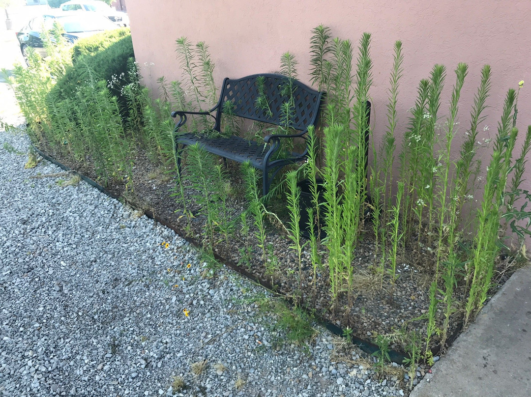 Fairfield by Marriott Inn & Suites Norman主图