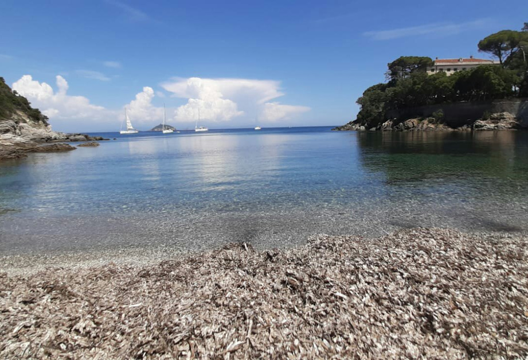 Cala delle Alghe景点图片