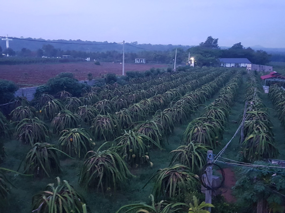 Summer Stations Homestay主图