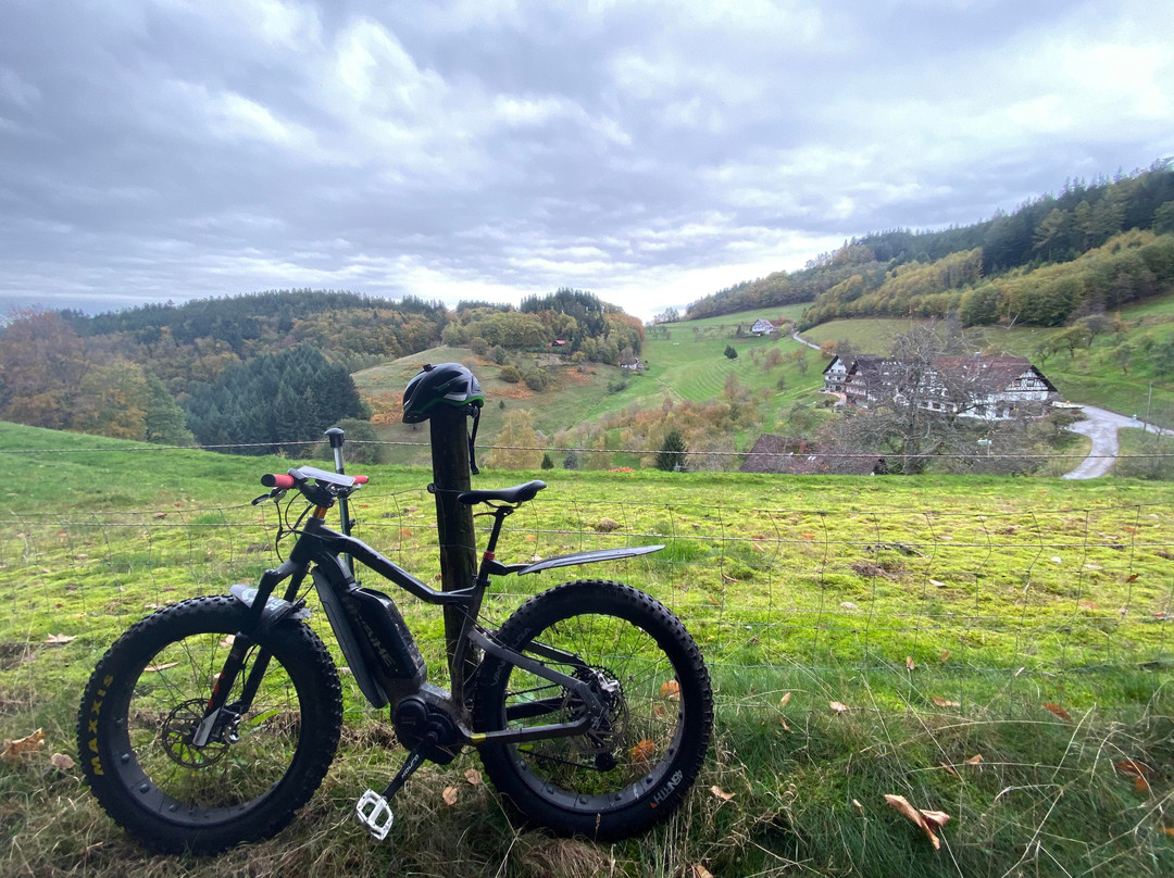 Fat Stevens Fatbike-Verleih景点图片