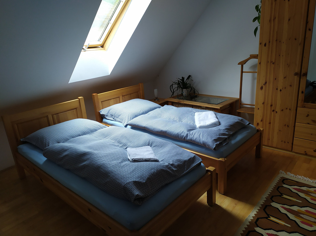 Paulay Winehouse主图