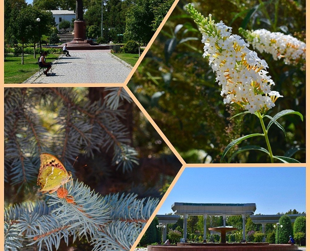 Alisher Navoi Central Recreation Park-撒马尔罕必去景点