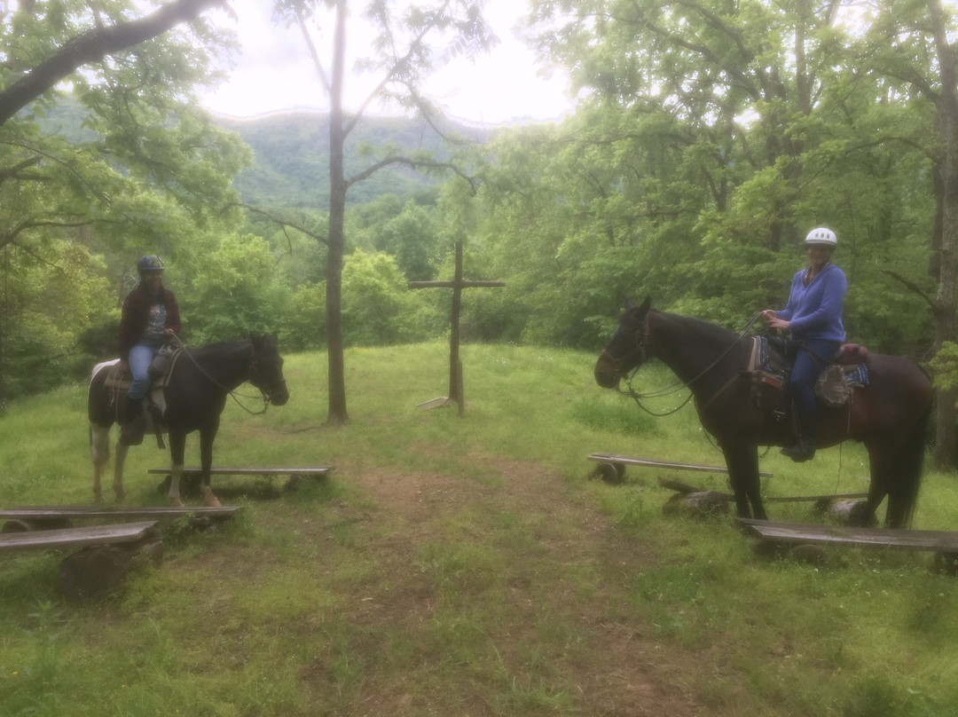 Twin Valley Bed and Breakfast and Horse Ranch主图