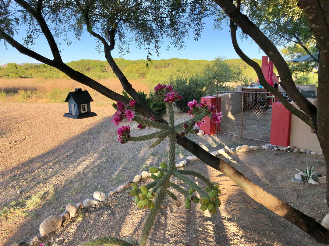 Down By The River Bed And Breakfast主图