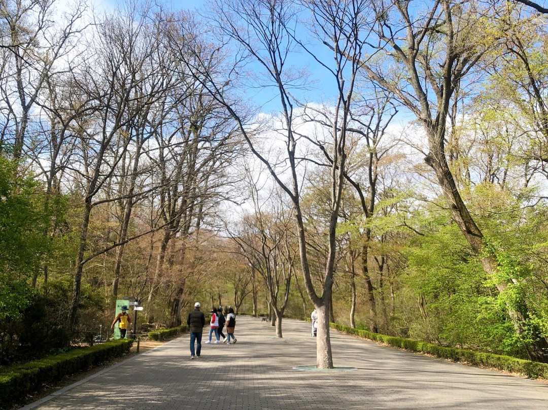Korea National Arboretum-抱川市必去景点