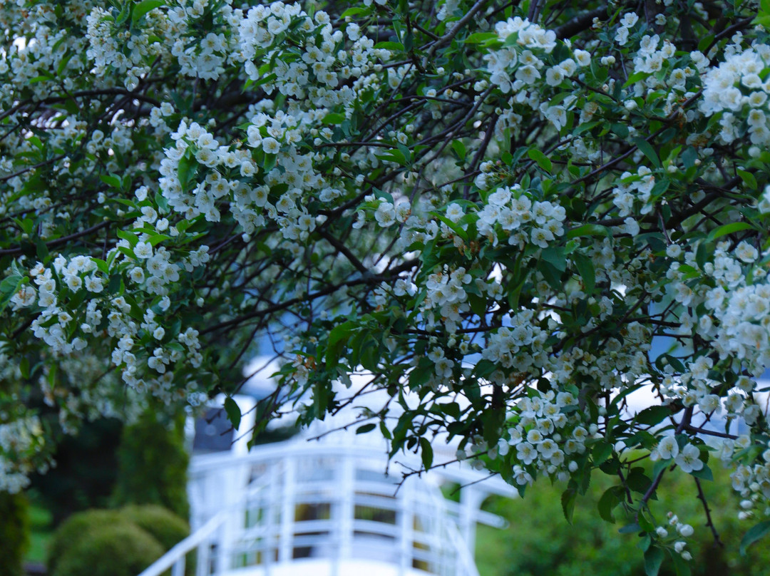 Rosendal Fjordhotel主图