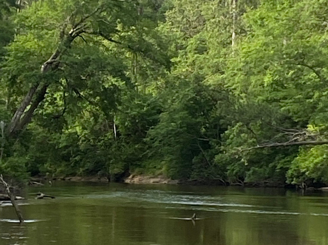 Black Creek Canoe Rental景点图片