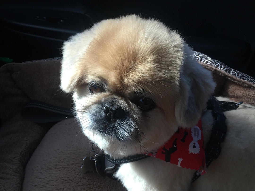 米德尔敦/纽波特快捷假日酒店主图