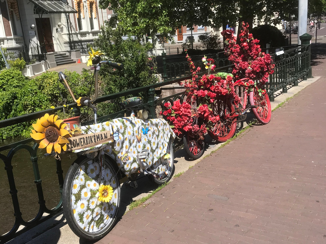 Amsterdam En Bicicleta-阿姆斯特丹必去景点