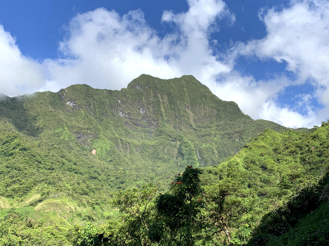 Tahiti Safari Expedition景点图片